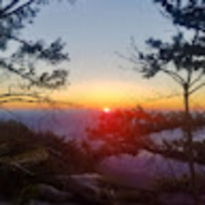 Meet your Posher, Madeline